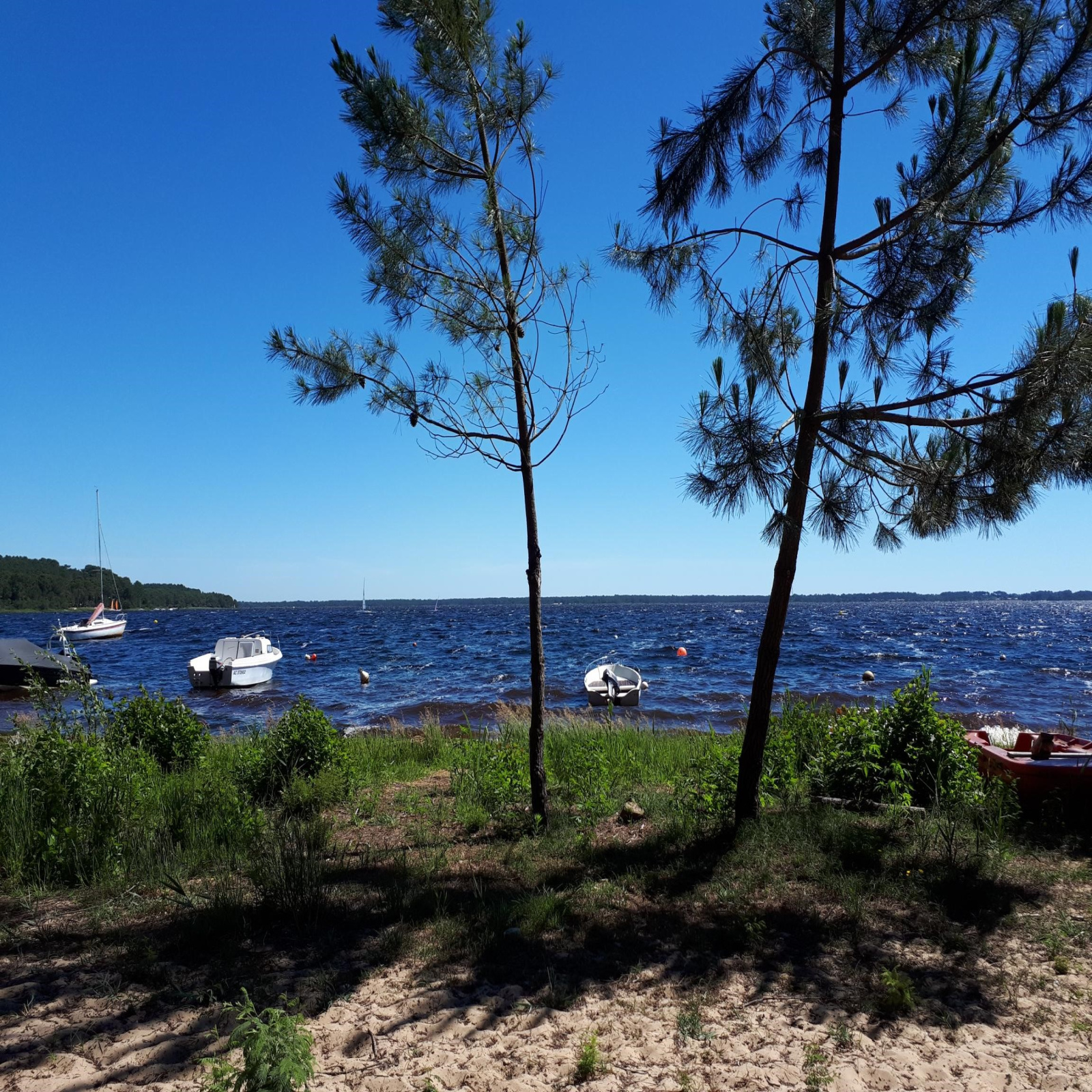 Image_2, Terrain, Lacanau ocean, ref :2131